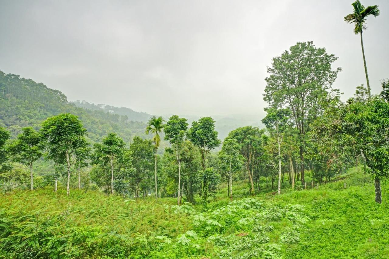 Oyo Flagship 81260 Star Lights Hotel Munnar Buitenkant foto